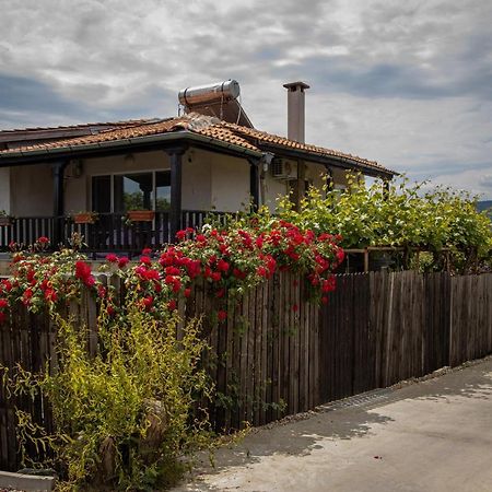 Villa Beni - 4 Bedroom Private House By Flаt Manаger Lozenets Exteriör bild